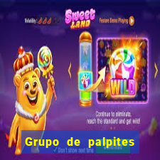 Grupo de palpites de futebol gratis